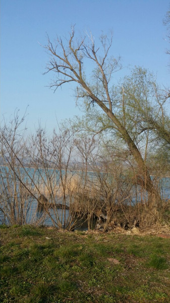 Balatonfűzfő