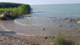 Balatonfűzfő