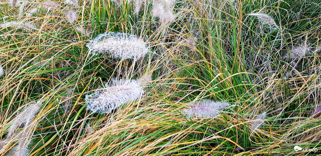 ködszitálás után