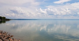 zsara fotója