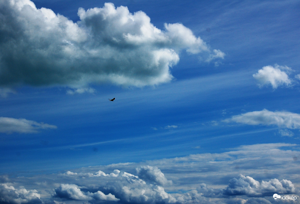 Boldog új esztendőt!!!