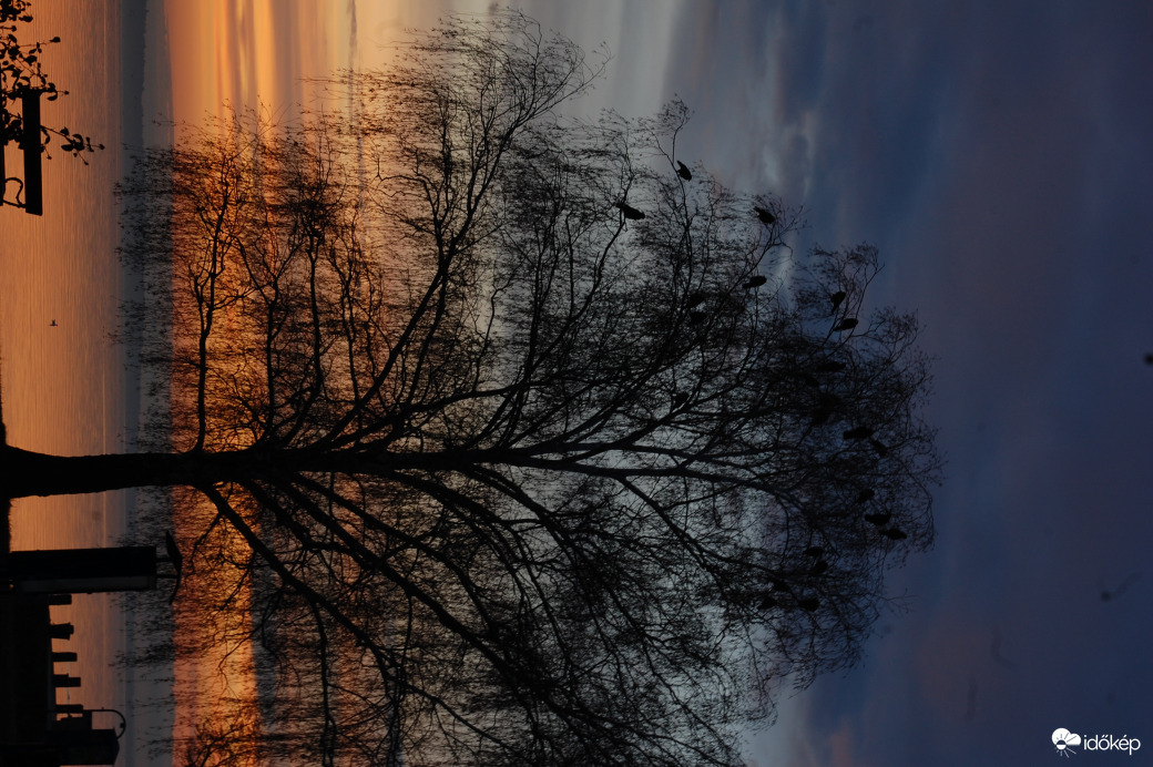 Boldog Új Évet kívánok!