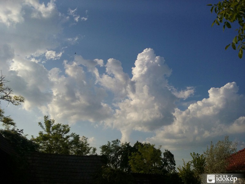 Észlelési fényképek