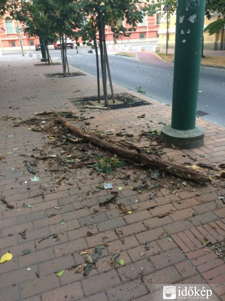 Észlelési fényképek