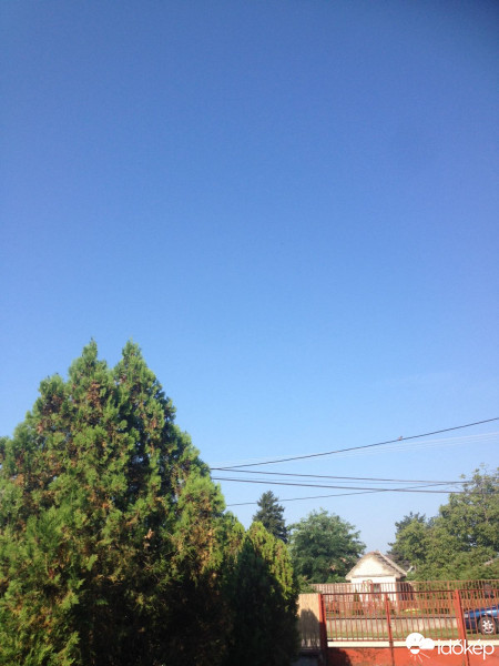 Észlelési fényképek