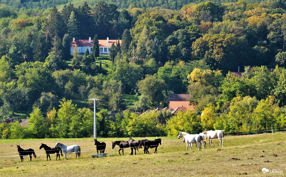 Lépésenként közeleg az ősz 