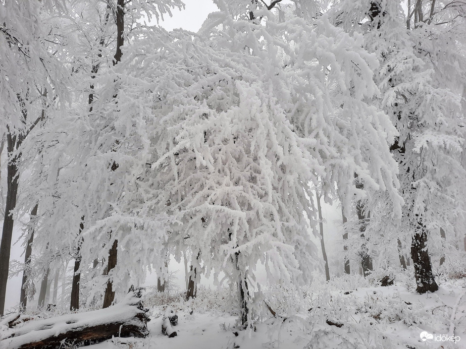 Havas, zúzmarás Zengő 