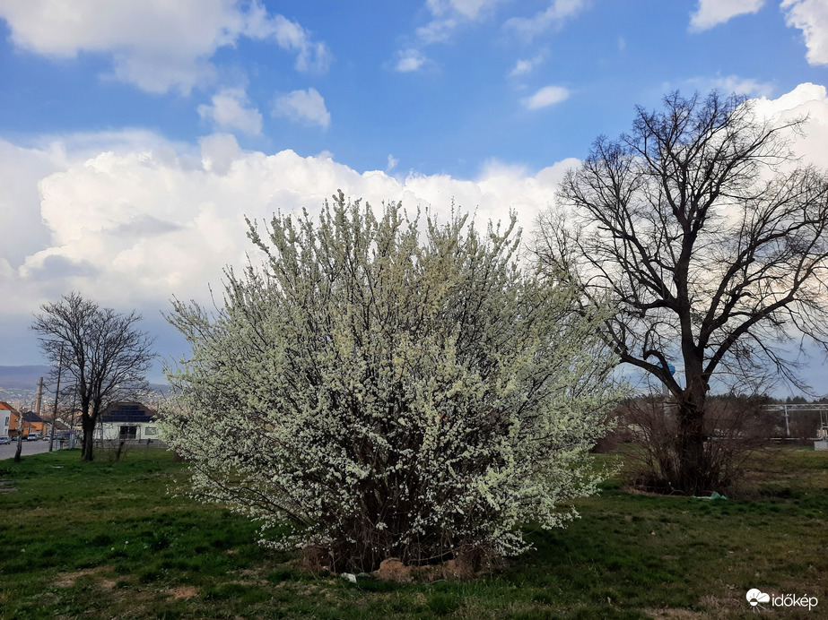 Pécsi felhővarázs