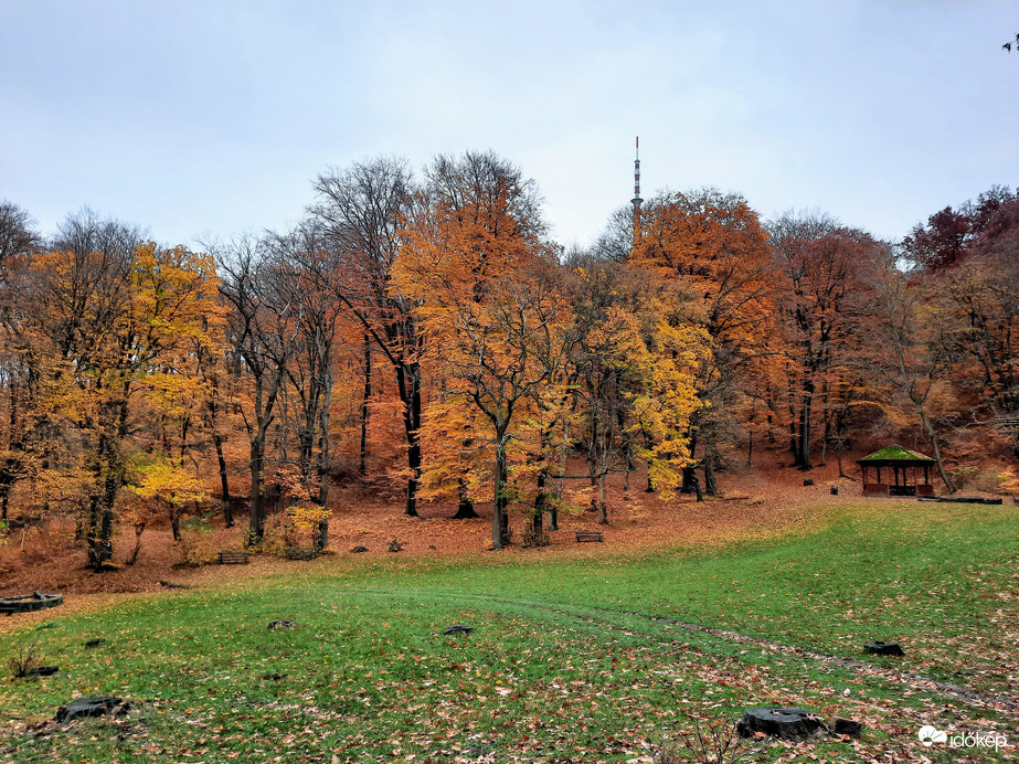 Mecseki ősz (2021.11.08.)