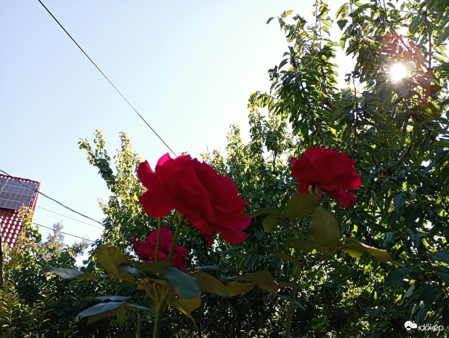 Észlelési fényképek