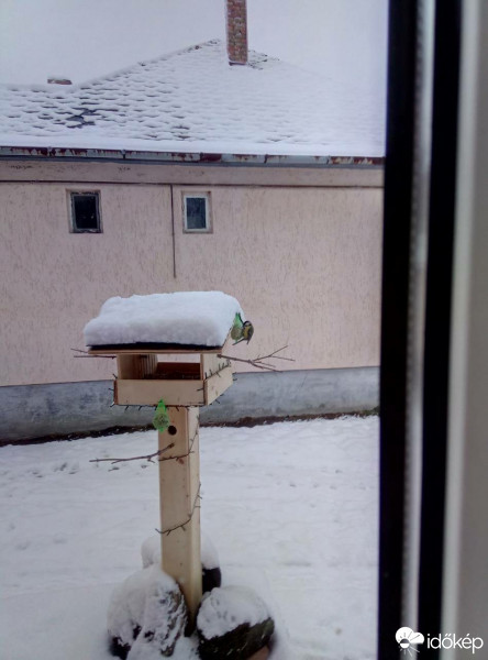 Észlelési fényképek