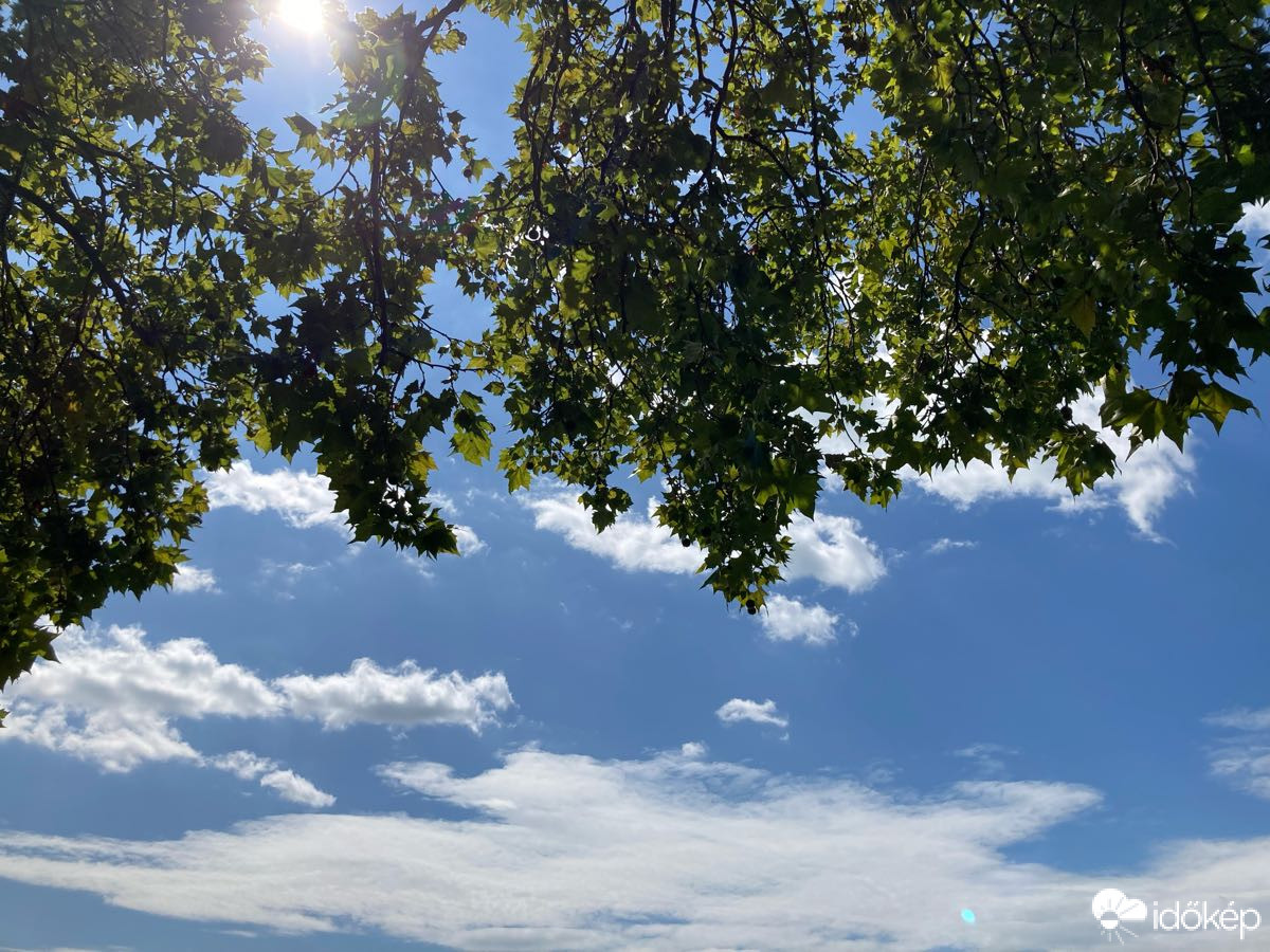 Észlelési fényképek