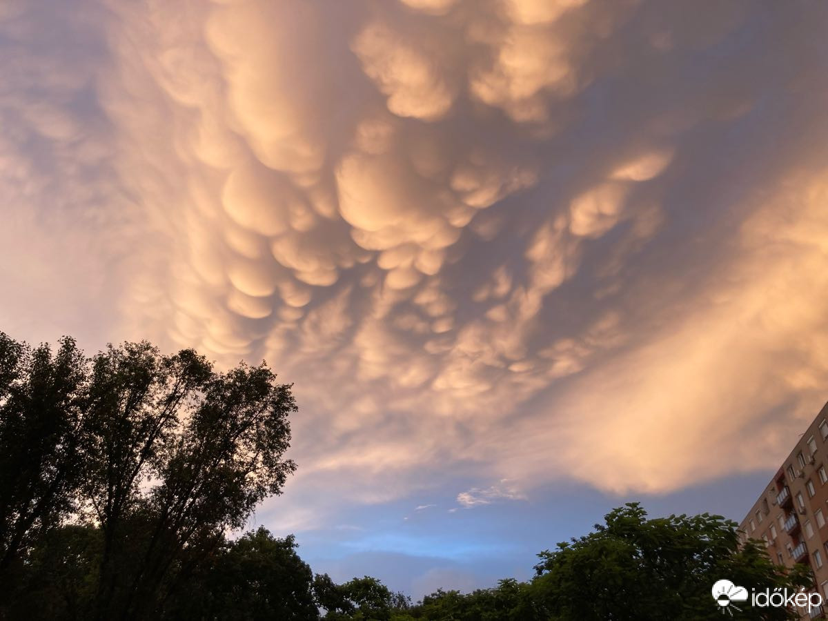 Észlelési fényképek