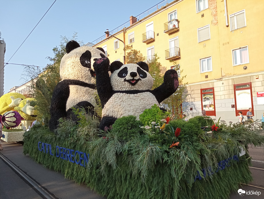 Virágkarnevál, Debrecen 2024.